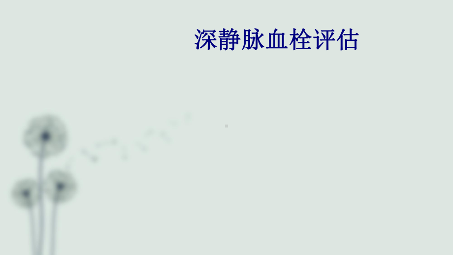 深静脉血栓评估PPT培训课件.ppt_第1页