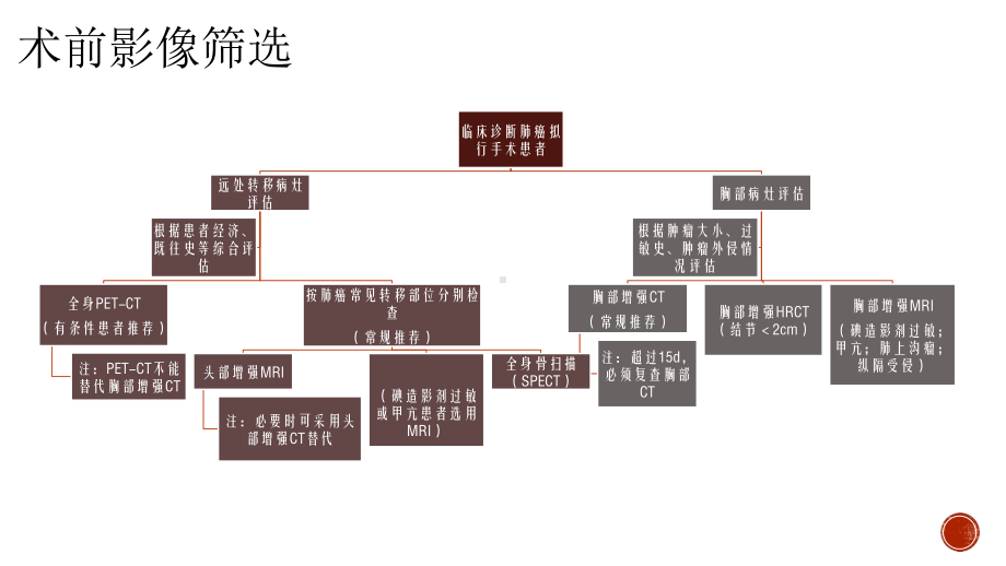 肺癌外科手术方式选择&评价--PPT精品课件.pptx_第3页