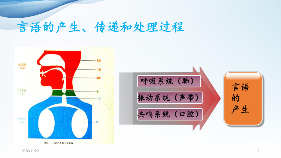 康复治疗技术言语治疗-ppt课件.ppt_第2页