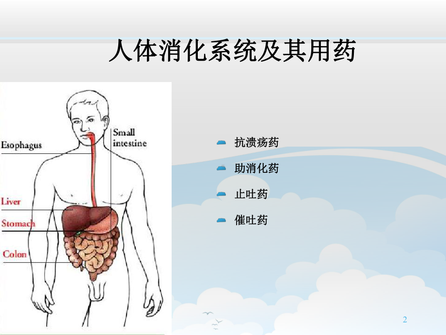 消化系统药物-ppt课件.ppt_第2页