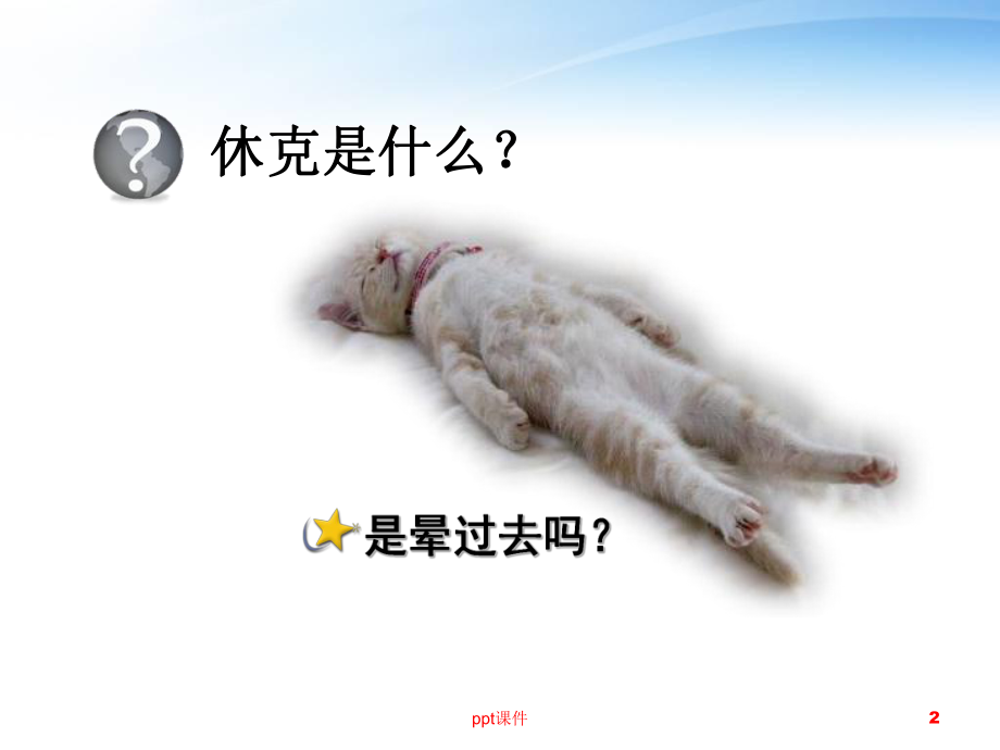 创伤性休克救治-ppt课件.ppt_第2页