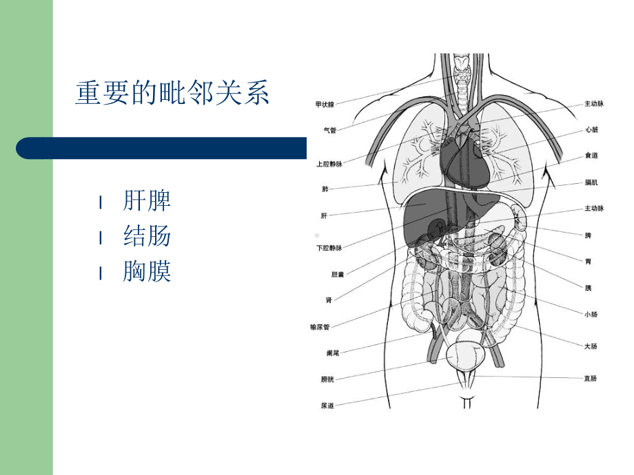 经皮肾穿刺点的选择PPT培训课件.ppt_第3页