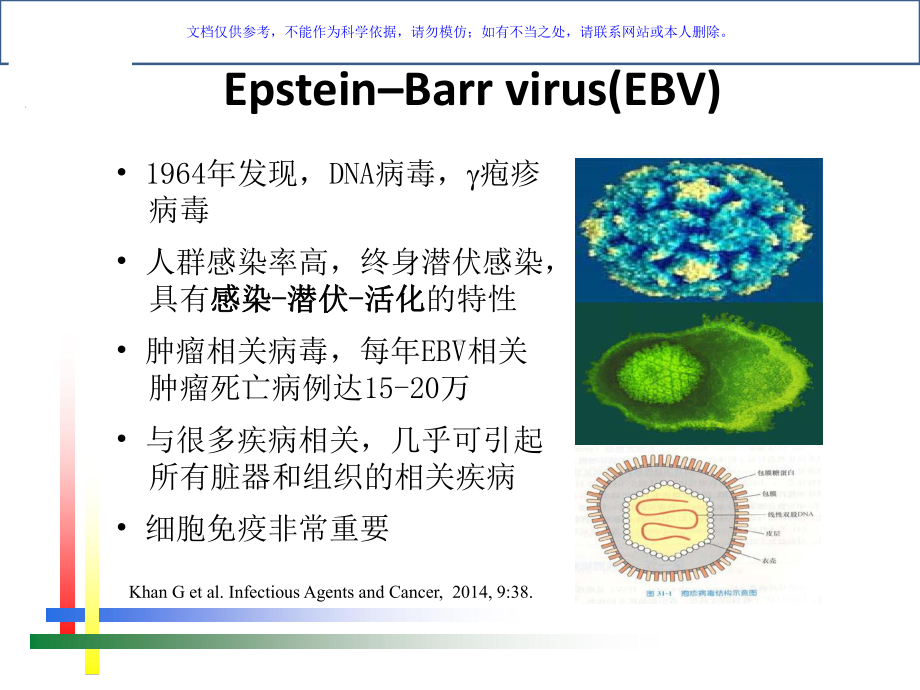 EB病毒感染的实验室诊断方法及合理运用课件.ppt_第2页