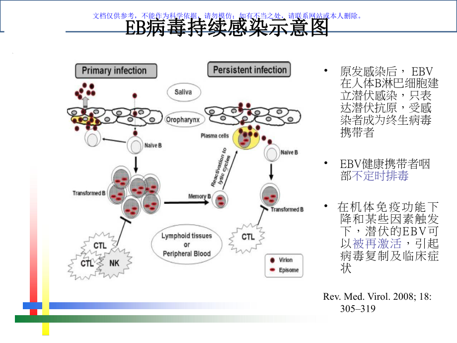 EB病毒感染的实验室诊断方法及合理运用课件.ppt_第3页