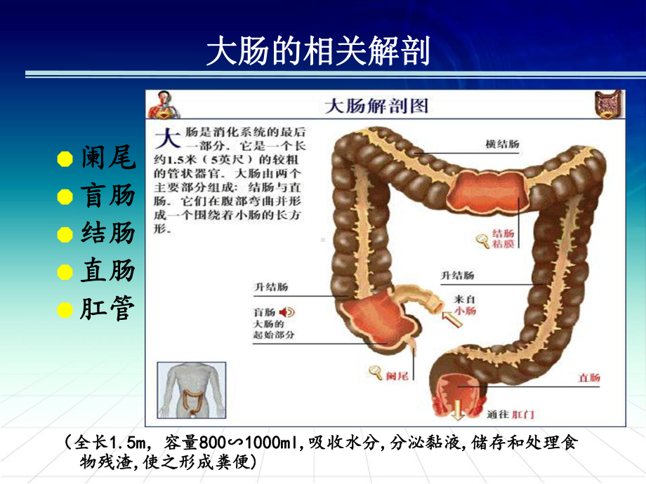 业务学习结直肠癌的护理PPT课件.ppt_第2页