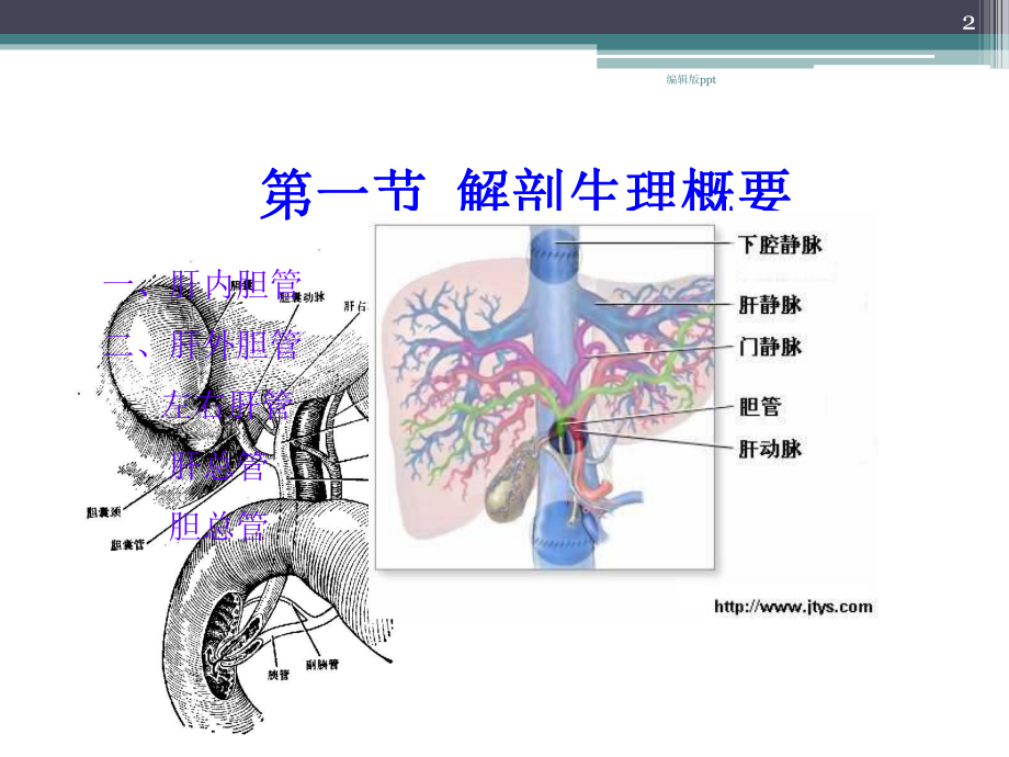 胆囊结石胆囊炎PPT课件1.ppt_第2页