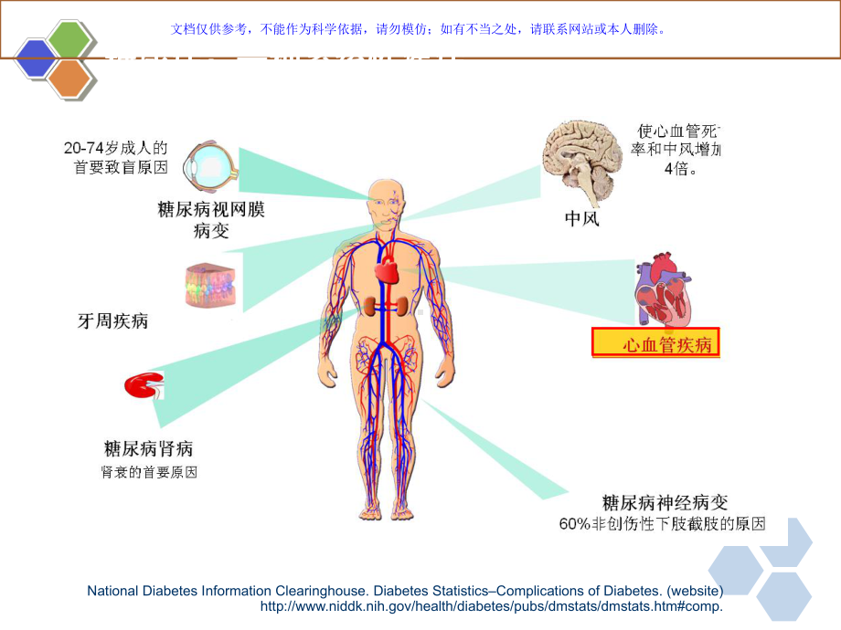 糖尿病心血管并发症课件.ppt_第3页