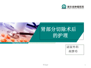 肾部分切除术后护理课件.ppt