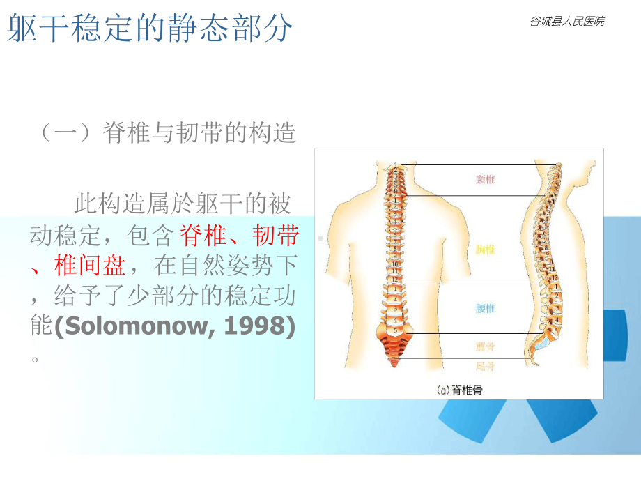 核心肌群功能与训练方式初级篇课件.ppt_第2页