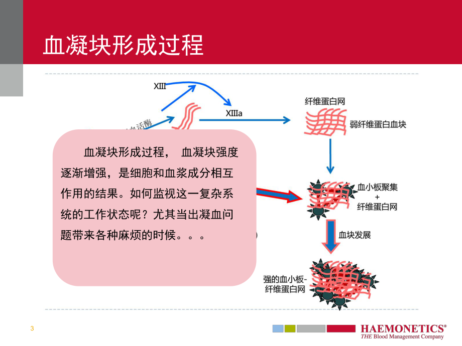 医学课件血栓弹力图TEG.ppt_第3页