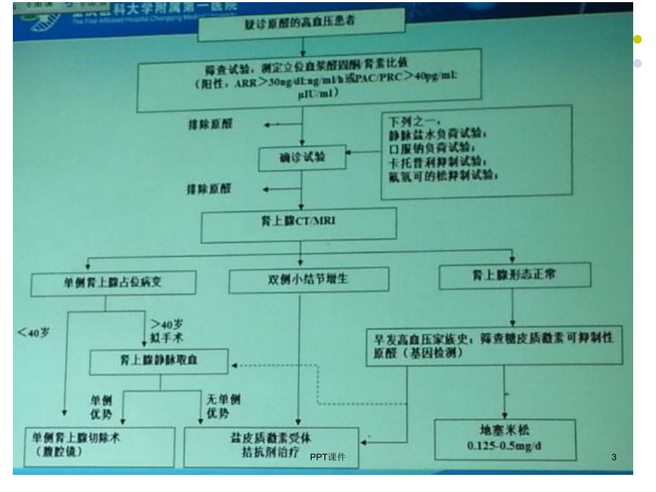 分侧肾上腺静脉取血-ppt课件.ppt_第3页