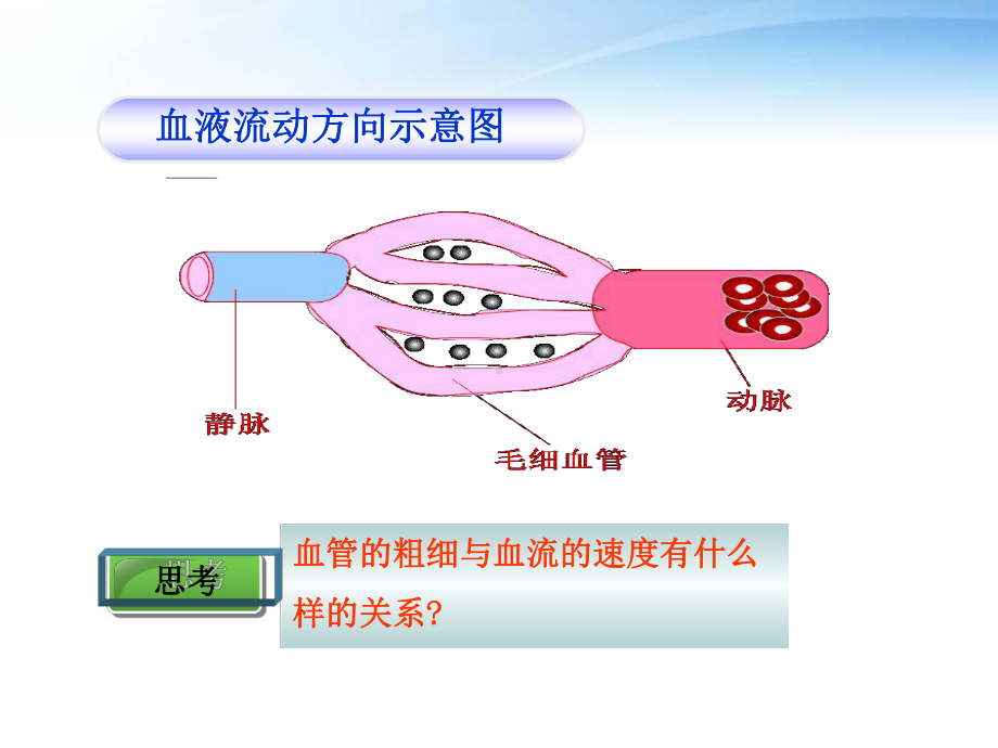 血管-ppt课件.ppt_第2页