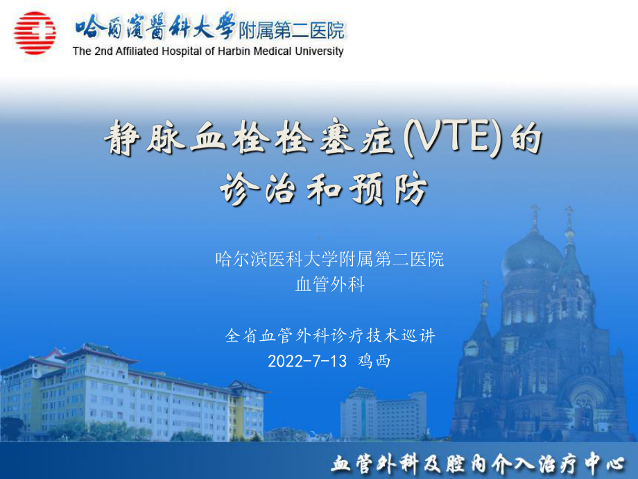 静脉血栓栓塞(VTE)诊断、治疗和预防资料课件.ppt_第1页