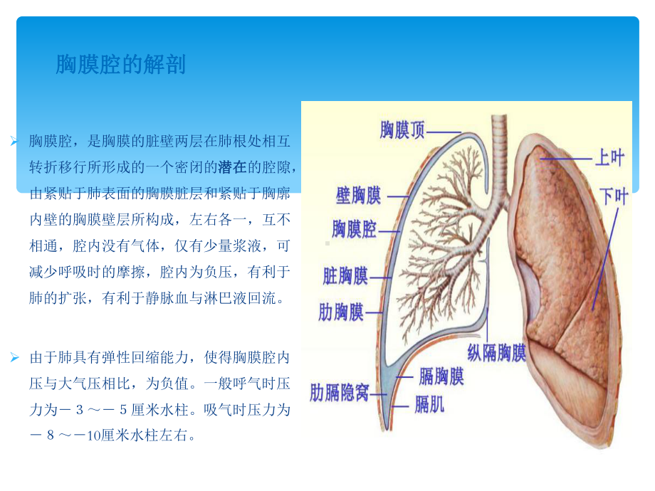 医学胸腔穿刺术实用讲解PPT培训课件.ppt_第3页