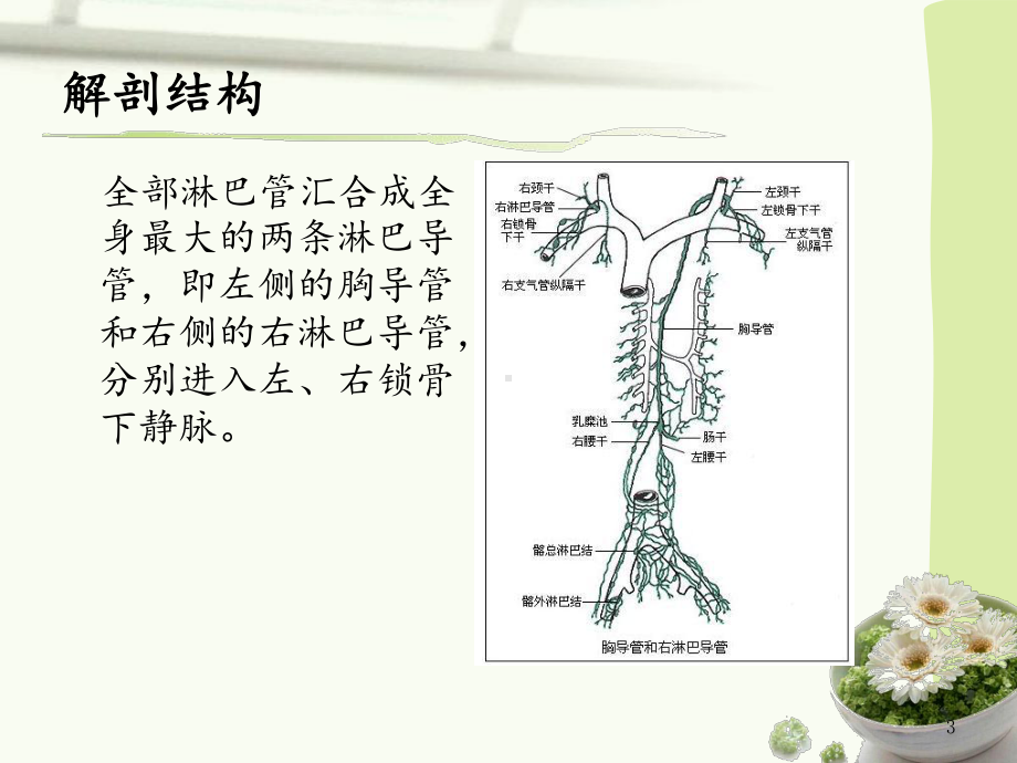 甲状腺术后乳糜漏的护理-PPT课件.ppt_第3页