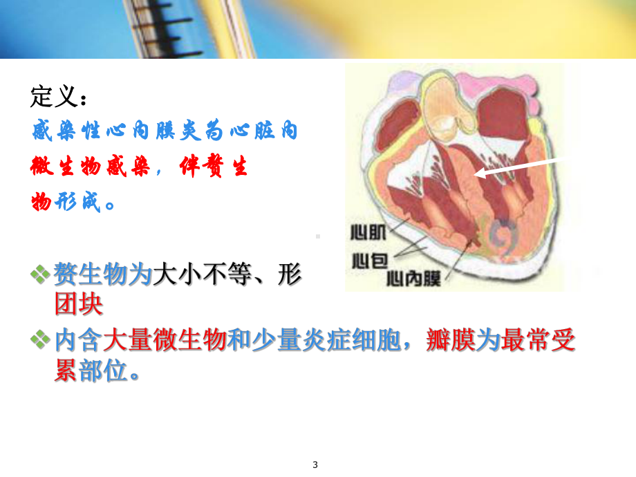 感染性心内膜炎护理PPT课件.ppt_第3页