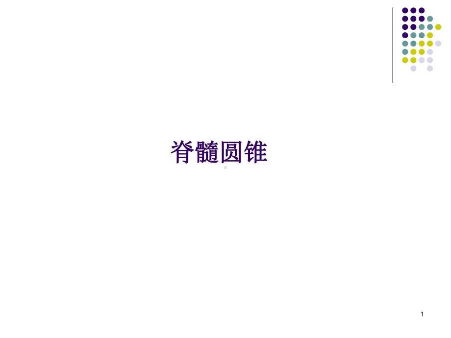 脊髓圆锥PPT课件.ppt_第1页