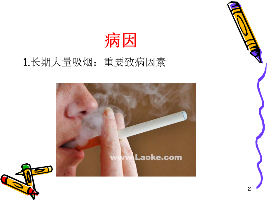 肺癌病人护理PPT课件.ppt_第2页