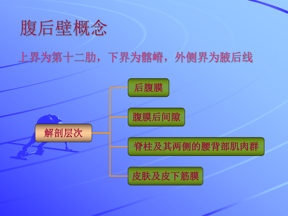 腹后壁疾病超声诊断课件.ppt_第3页