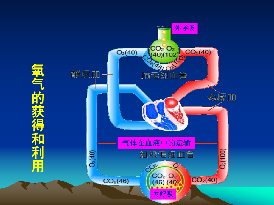 静脉血氧含量差动脉血氧含量减去静脉血氧课件.ppt_第2页