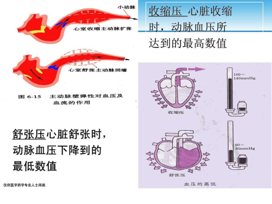 高血压的发病机制与病理生理-图文.ppt共55页课件.ppt_第3页