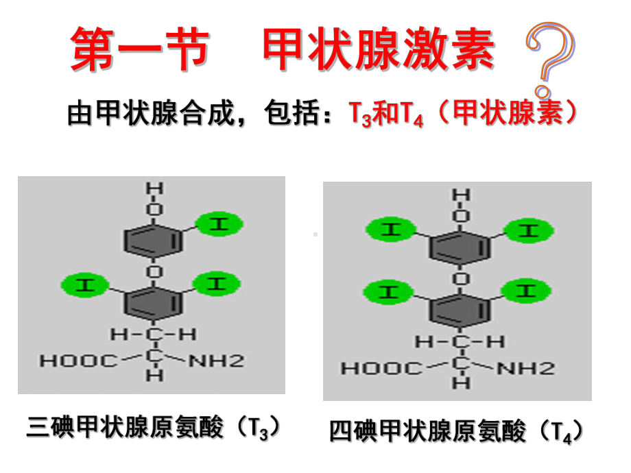 第三十六章甲状腺激素及抗甲状腺素药-川北医学院课件.ppt_第2页