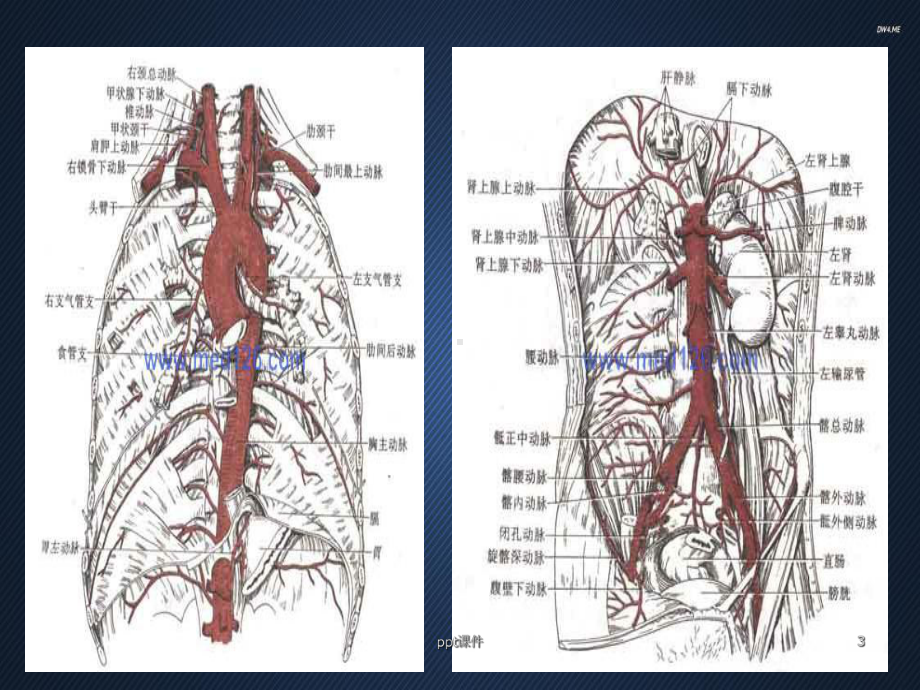 主动脉夹层的CT诊断-ppt课件.ppt_第3页