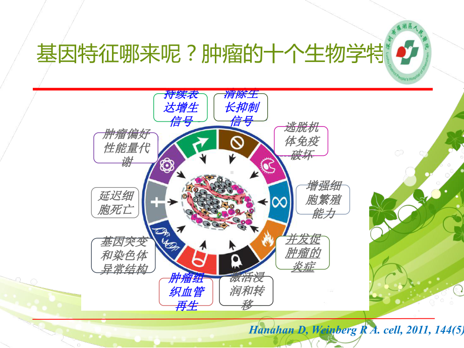 肿瘤的精准医疗与临床应用-ppt课件.ppt_第2页