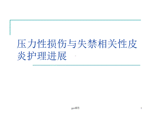 压力性损伤与失禁相关性皮炎-ppt课件.ppt