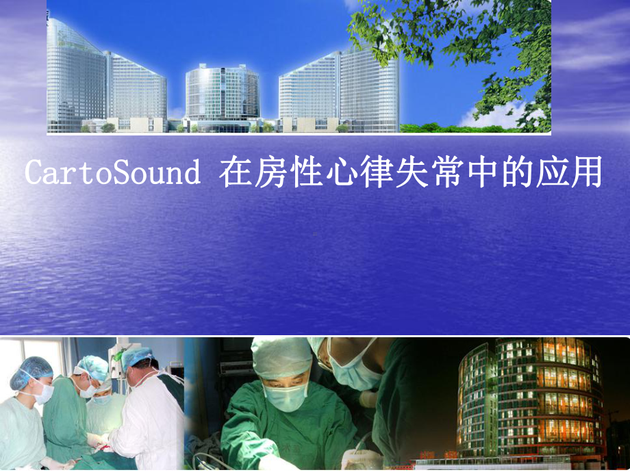 CartoSound-在房性心律失常中的应用课件.ppt_第1页