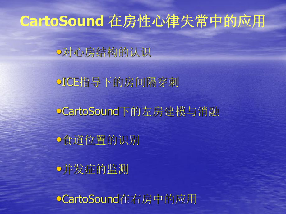 CartoSound-在房性心律失常中的应用课件.ppt_第3页