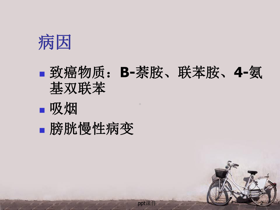 膀胱肿瘤-ppt课件.ppt_第2页