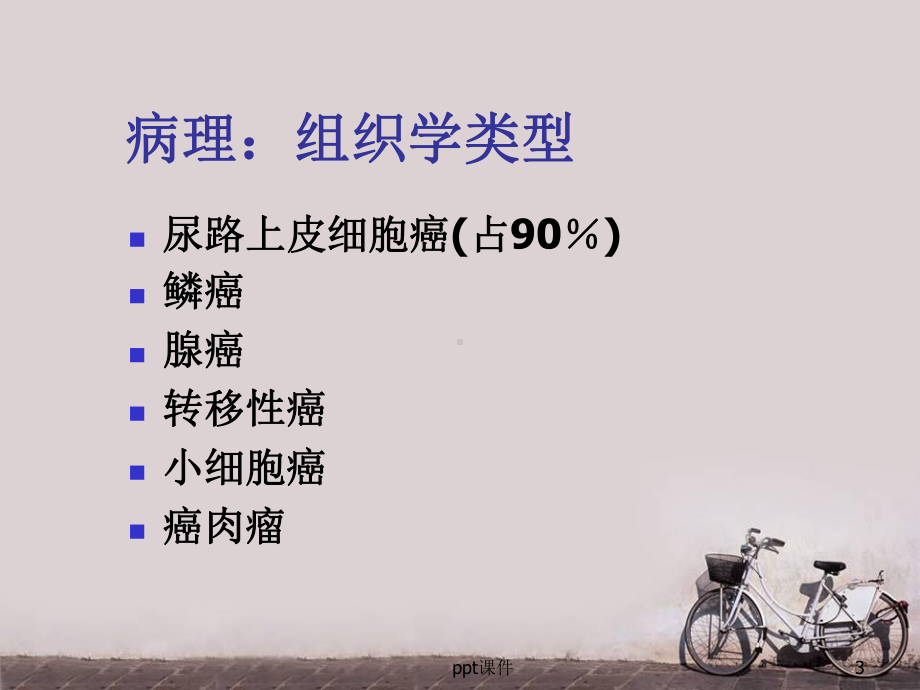 膀胱肿瘤-ppt课件.ppt_第3页