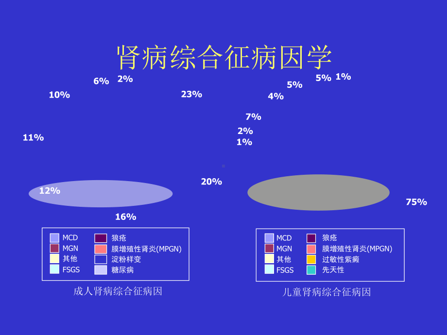 环孢素a治疗肾病综合症临床体会共54页课件.ppt_第3页