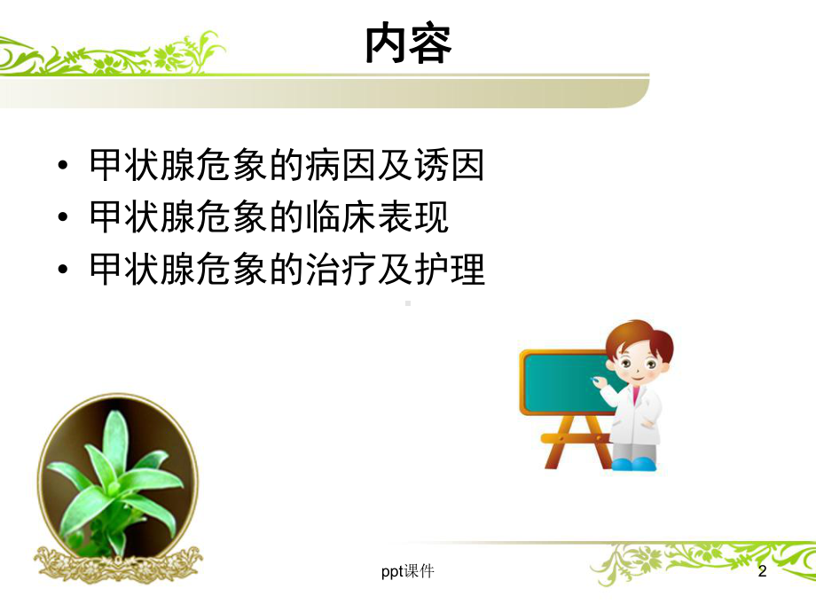 甲亢危象的护理-ppt课件.ppt_第2页