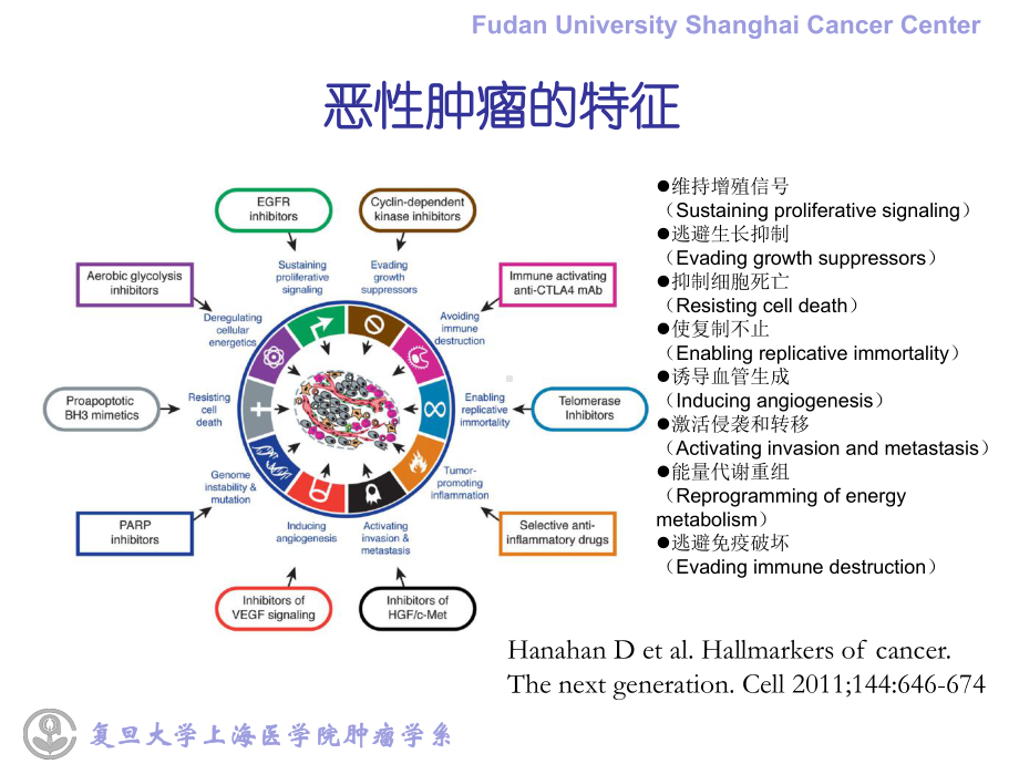 临床肿瘤学概论-第五章-肿瘤的生物学行为-PPT课件.ppt_第3页