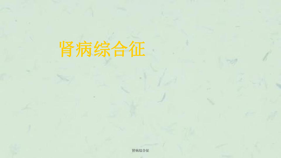 肾病综合征课件(同名155).ppt_第1页