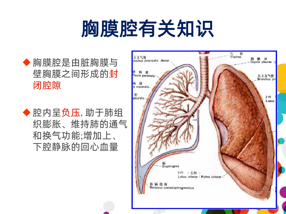 胸腔闭式引流课件PPT课件.ppt_第3页