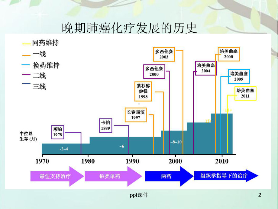 肺癌化疗的常用药物-ppt课件.ppt_第2页