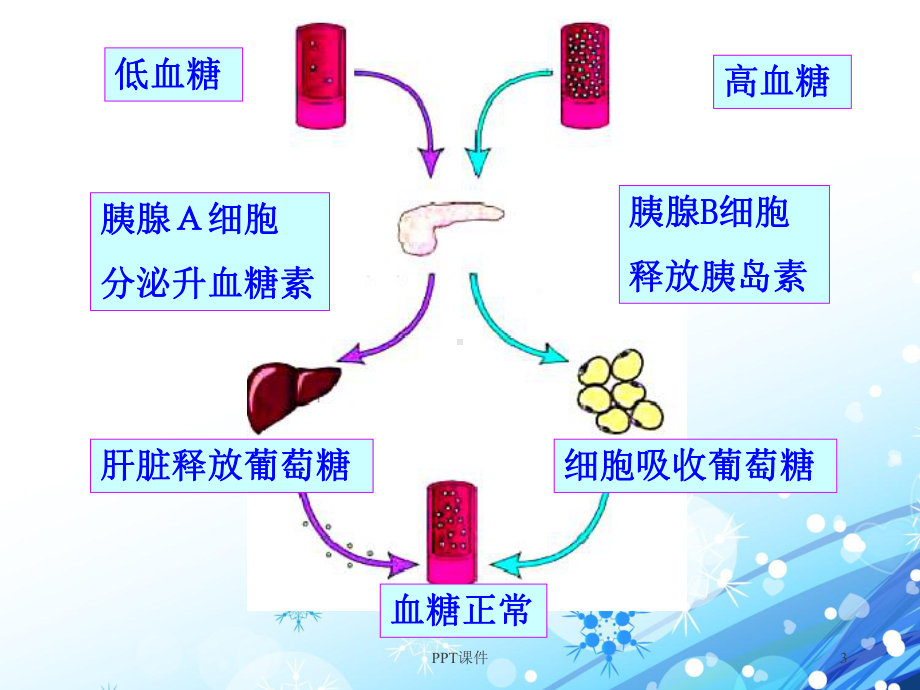 糖尿病及并发症的护理-ppt课件.ppt_第3页