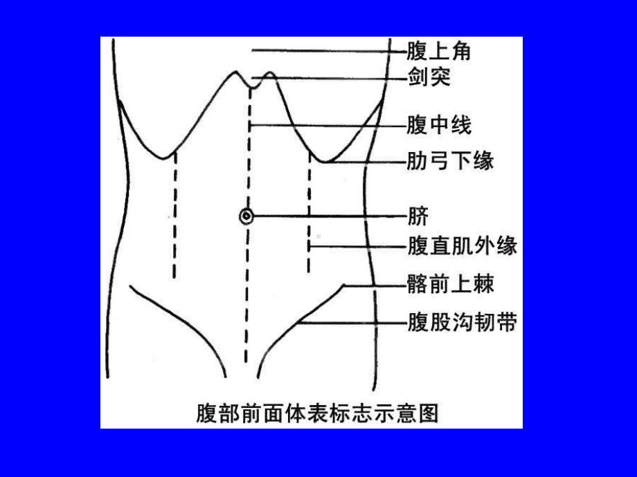 胃肠胀气脏器肿大腹内肿瘤课件.ppt_第2页