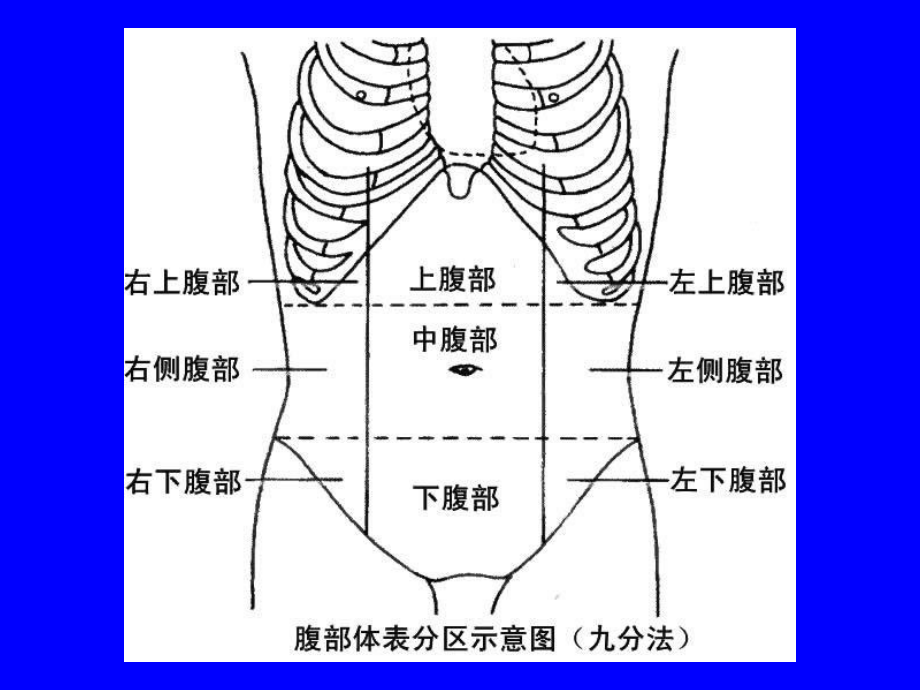 胃肠胀气脏器肿大腹内肿瘤课件.ppt_第3页