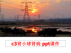 最新c3肾小球肾病-ppt课件.ppt