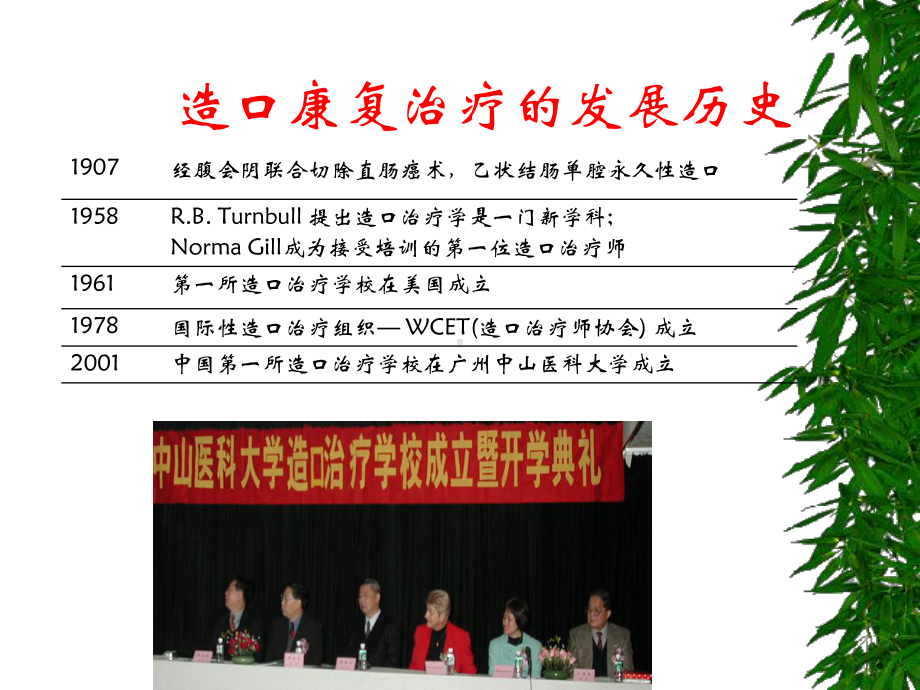 肠造口并发症及护理PPT演示课件.ppt_第2页