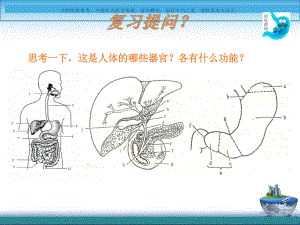 消化性溃疡病人的护理评估课件.ppt