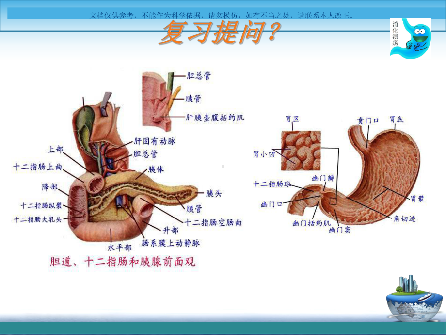 消化性溃疡病人的护理评估课件.ppt_第2页