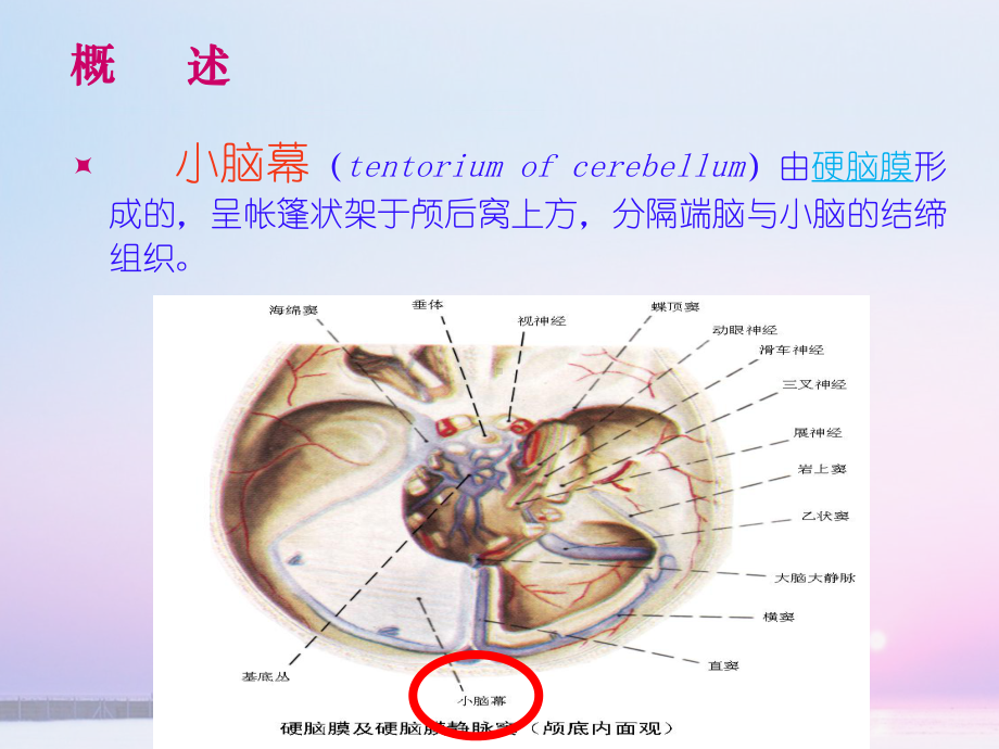 幕下肿瘤的护理ppt优质版课件.ppt_第3页