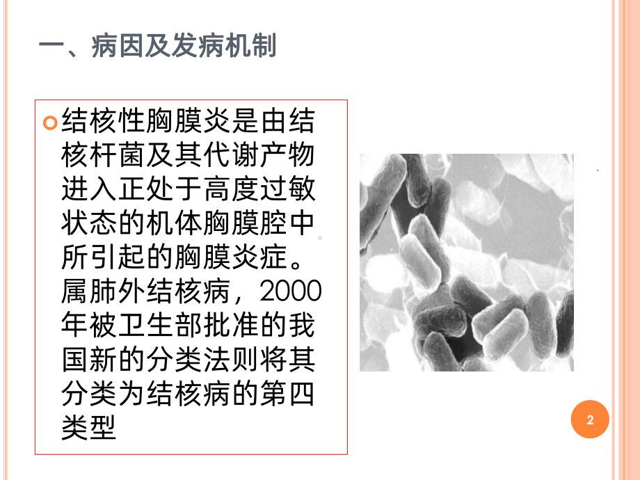 结核性胸膜炎的护理PPT课件.ppt_第2页