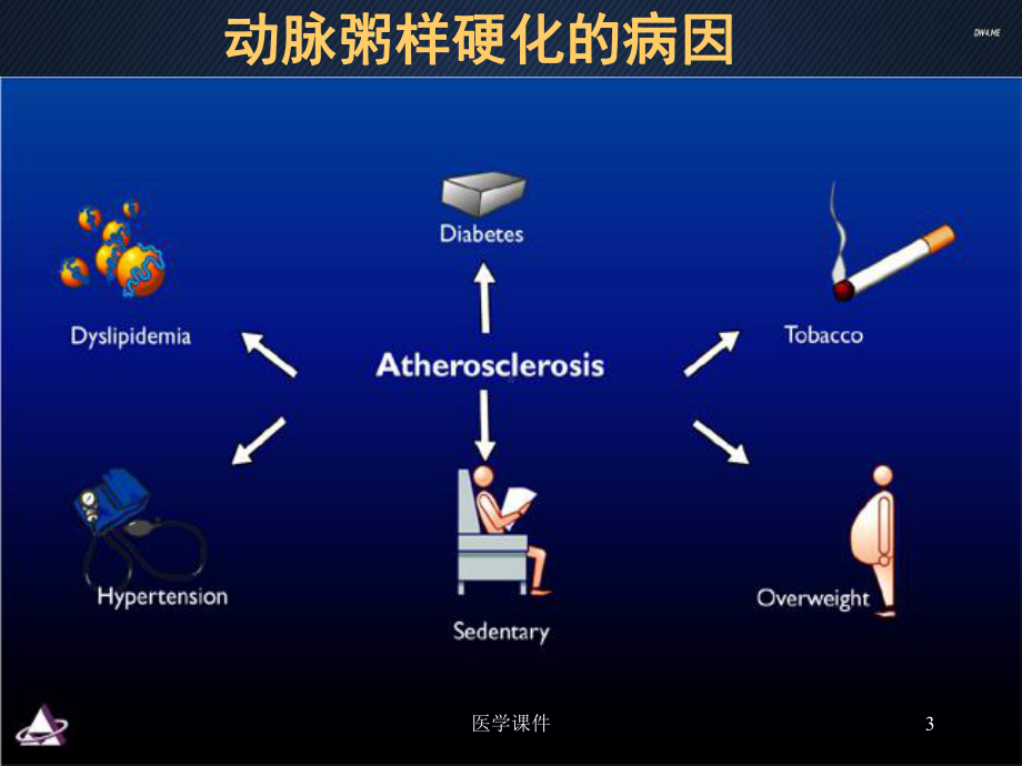 内科学-冠心病心绞痛-ppt课件.ppt_第3页