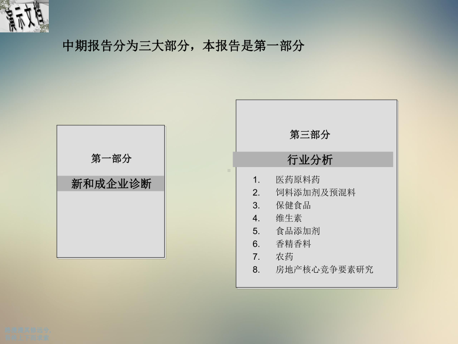 远卓-新和成-企业诊断报告课件.ppt_第3页